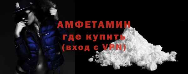 гидра Щигры