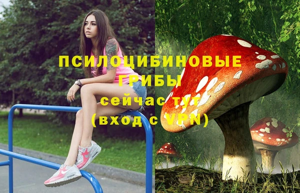амфетамин Россошь