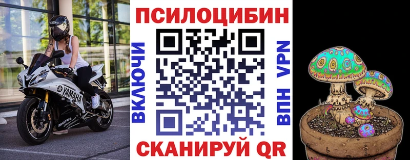 Галлюциногенные грибы GOLDEN TEACHER  продажа наркотиков  Себеж 